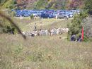 camporee0033.JPG